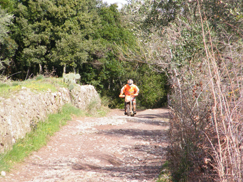 gal/2010/03 - La Via delle Miniere 2010/Al podere Quato/DSCF0706-01.jpg